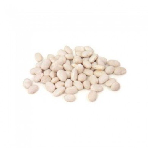 ΦΑΣΟΛΙΑ ΧΟΝΔΡΑ ΕΙΣΑΓΩΓΗΣ 25Kg